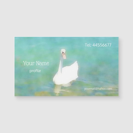 バラトン湖-水彩画の白鳥 (正面)