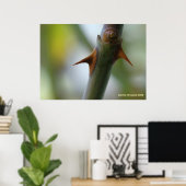 バラトーンズ ポスター (ホームオフィス)