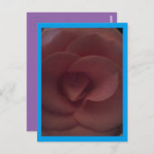 バラドラゴン ポストカード (正面/裏面)