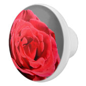 バラノブ セラミックノブ (右)