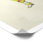 バラハ、デ・マレット（カラーリトボ）による彫刻 ポスター (角)