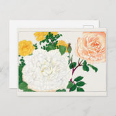 バラバイタニガミ湖南 ポストカード (正面/裏面)