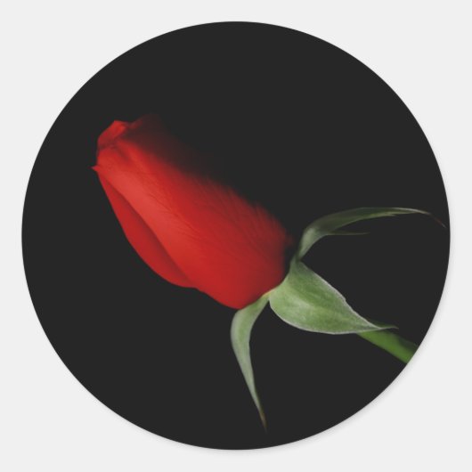 バラバッド結婚シール – '封筒用シール ラウンドシール (正面)