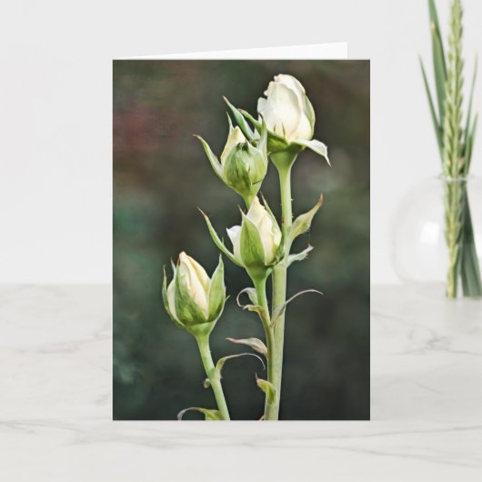 バラバドバンチアートノートカード カード (正面)