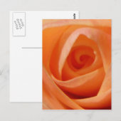 バラバド ポストカード (正面/裏面)