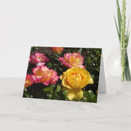 バラバラバラ! シーズンカード (正面)