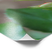 バラバdsフォトプリント フォトプリント            (角)