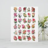 バラビクトリアンフッシー切断 (スタンド正面)