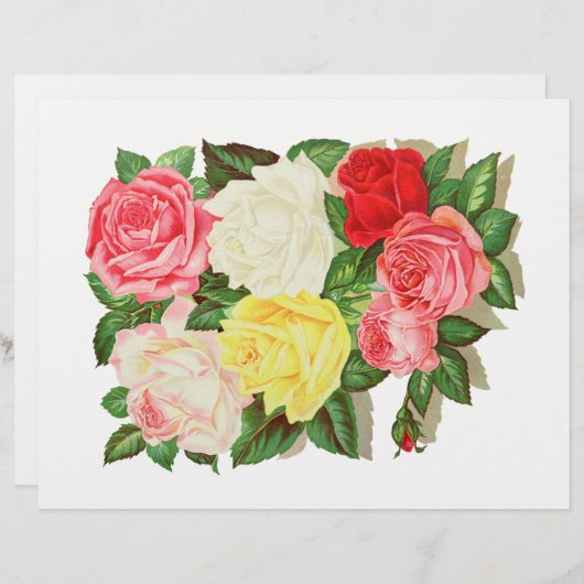 バラピンクホワイトイエローレッドフラワーフローラ#1 (正面/裏面)