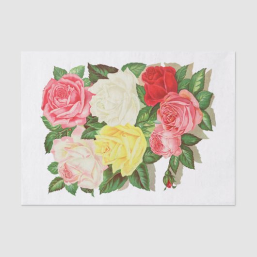 バラピンクホワイトイエローレッドフラワーフローラ#1 薄葉紙 (正面)