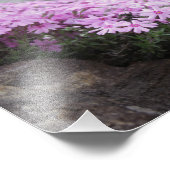 バラピンク フォトプリント            (角)