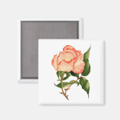 バラピーチ水色2インチスクエアマグネット マグネット (正面/裏面)