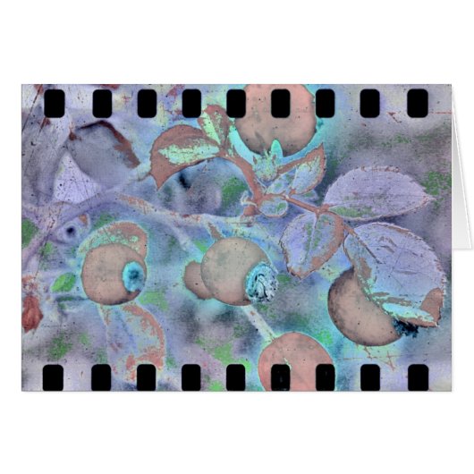 バラフィルム3 (正面横)