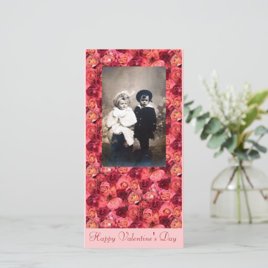 バラフィールド、明るい赤鮮やか色ピンク シーズンカード (スタンド正面)