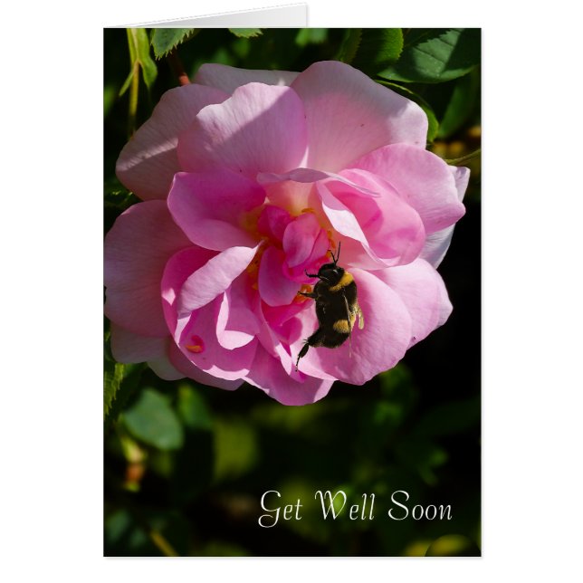 バラフラワーイメージGet-Well-greeting-card (正面)
