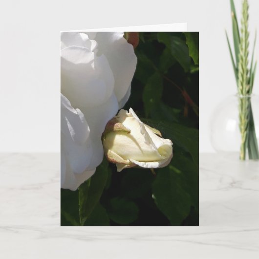 バラフラワーカード カード (正面)