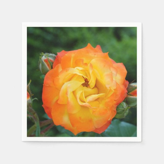 バラフラワースタンダードカクテルナプキン スタンダードカクテルナプキン (正面)