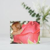 バラフラワーベビーはがき ポストカード (スタンド正面)