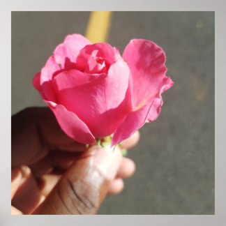 バラフラワーポスター ポスター