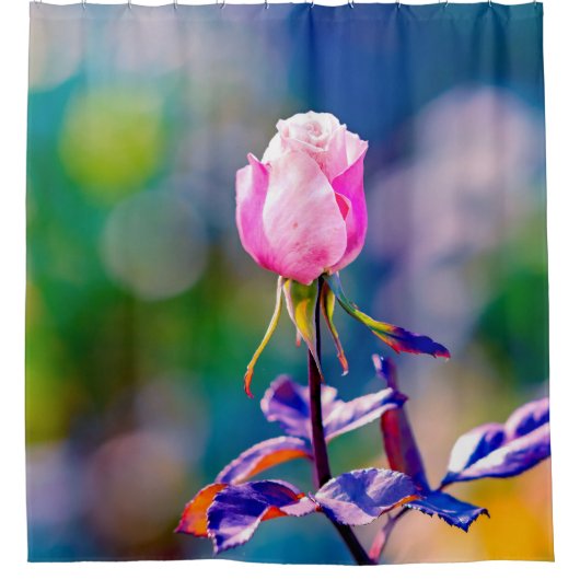 バラフラワー – 美しい シャワーカーテン (正面)