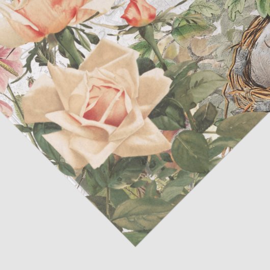 バラフローラバードネストピンクスクリフランスのプトデカップページ 薄葉紙 (詳細)