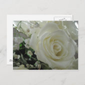 バラフローラ ポストカード (正面/裏面)