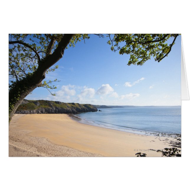 バラフンドルベイペムブロークプンブレシャーコースト (正面横)