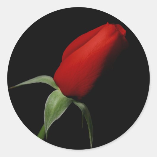 バラブドウェディングRSVP招待状封筒用シール ラウンドシール (正面)