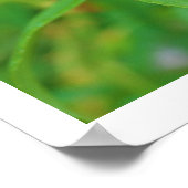 バラブドリミ引用文 ポスター (角)