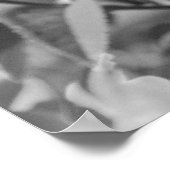 バラブラック&ホワイト ポスター (角)