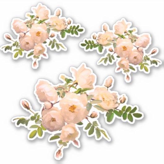 バラブランチロマンチック シール (正面)