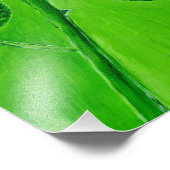 バラプリント フォトプリント            (角)