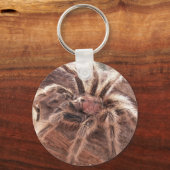 バラヘアタラントラ キーホルダー (正面)