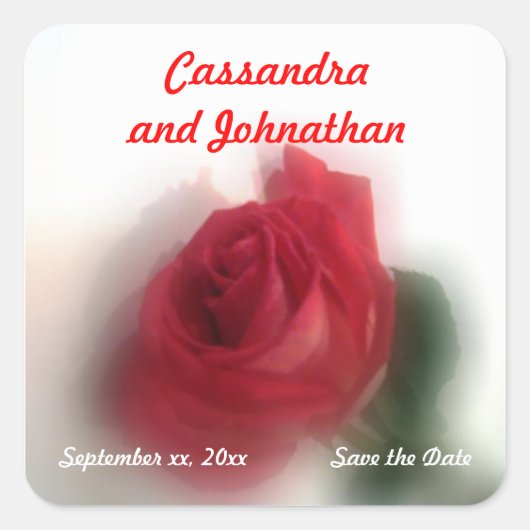 バラヘイズ日付ステッカーを保存 スクエアシール (正面)