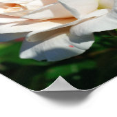 バラベージュ背景 ポスター (角)