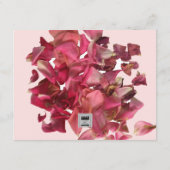 バラペタルピンクロマンチック結婚式レセプションカード エンクロージャーカード (裏面)