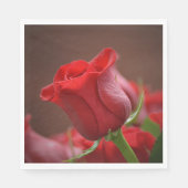 バラペーパーナプキン スタンダードランチョンナプキン (正面)