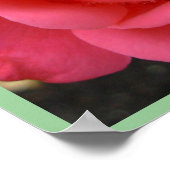 バラポスタープリントビューティフルフラワーアートプリント ポスター (角)