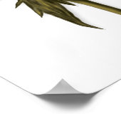 バラポスター ポスター (角)