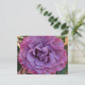 バラポストカード ポストカード (スタンド正面)