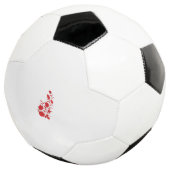バラマダーサンダーバードフローラデザイン サッカーボール (3/4)