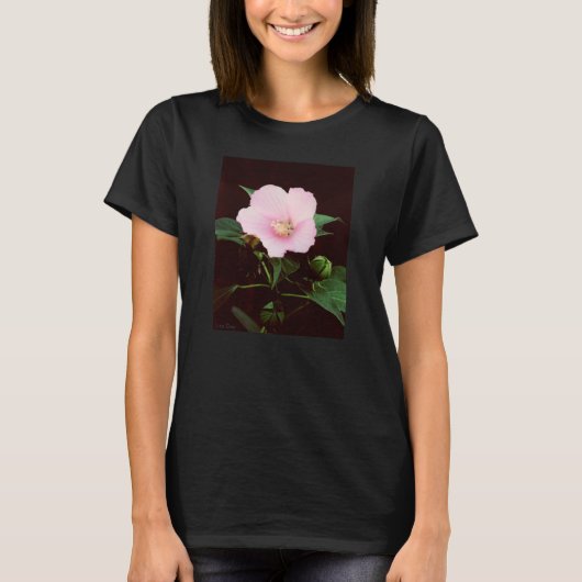 バラマリーレディース長袖Tシャツ Tシャツ (正面)