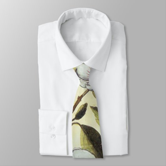 バラマロー ネクタイ (タイ)