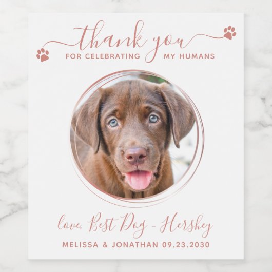 バラモダン金ゴールドありがとう犬フォトペットズ結婚ス ワインラベル (シングルラベル)