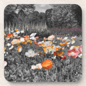 バララットボタニックガーデンズフローラディスプレイコースター コースター (正面)