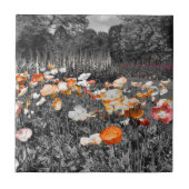 バララットボタニックガーデンズフローラディスプレイ タイル (正面)