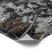 バララットボタニックガーデンズフローラディスプレイ ポスター (角)