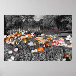 バララットボタニックガーデンズフローラディスプレイ ポスター