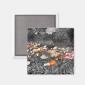 バララットボタニックガーデンズフローラディスプレイ マグネット (正面/裏面)