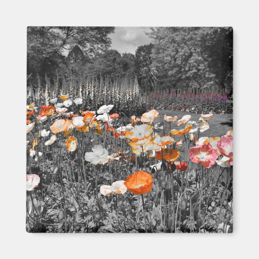 バララットボタニックガーデンズフローラディスプレイ マグネット (正面)